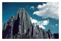 Stone Forest, China, by Audrey Blumeneau