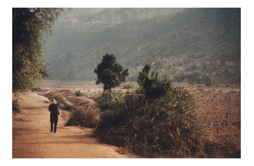 Walking, Guangdong Province, China - Photograph by Audrey Blumeneau