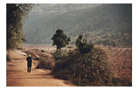 Guangdong Province, China;  by Audrey Blumeneau